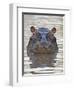 Hippopotamus (Hippopotamus Amphibius), Serengeti National Park, Tanzania, East Africa, Africa-James Hager-Framed Photographic Print