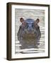 Hippopotamus (Hippopotamus Amphibius), Serengeti National Park, Tanzania, East Africa, Africa-James Hager-Framed Photographic Print