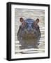 Hippopotamus (Hippopotamus Amphibius), Serengeti National Park, Tanzania, East Africa, Africa-James Hager-Framed Photographic Print