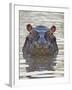 Hippopotamus (Hippopotamus Amphibius), Serengeti National Park, Tanzania, East Africa, Africa-James Hager-Framed Photographic Print