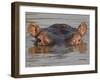 Hippopotamus (Hippopotamus Amphibius), Serengeti National Park, Tanzania, East Africa, Africa-James Hager-Framed Photographic Print