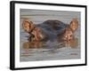 Hippopotamus (Hippopotamus Amphibius), Serengeti National Park, Tanzania, East Africa, Africa-James Hager-Framed Photographic Print