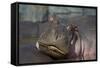 Hippopotamus (Hippopotamus Amphibius), Serengeti National Park, Tanzania, East Africa, Africa-James Hager-Framed Stretched Canvas