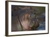 Hippopotamus (Hippopotamus Amphibius), Serengeti National Park, Tanzania, East Africa, Africa-James Hager-Framed Photographic Print