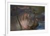 Hippopotamus (Hippopotamus Amphibius), Serengeti National Park, Tanzania, East Africa, Africa-James Hager-Framed Photographic Print