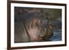 Hippopotamus (Hippopotamus Amphibius), Serengeti National Park, Tanzania, East Africa, Africa-James Hager-Framed Photographic Print