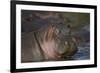 Hippopotamus (Hippopotamus Amphibius), Serengeti National Park, Tanzania, East Africa, Africa-James Hager-Framed Photographic Print