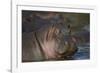 Hippopotamus (Hippopotamus Amphibius), Serengeti National Park, Tanzania, East Africa, Africa-James Hager-Framed Photographic Print