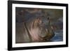 Hippopotamus (Hippopotamus Amphibius), Serengeti National Park, Tanzania, East Africa, Africa-James Hager-Framed Photographic Print