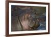 Hippopotamus (Hippopotamus Amphibius), Serengeti National Park, Tanzania, East Africa, Africa-James Hager-Framed Photographic Print