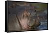 Hippopotamus (Hippopotamus Amphibius), Serengeti National Park, Tanzania, East Africa, Africa-James Hager-Framed Stretched Canvas