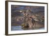 Hippopotamus (Hippopotamus Amphibius), Serengeti National Park, Tanzania, East Africa, Africa-James Hager-Framed Photographic Print