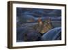 Hippopotamus (Hippopotamus Amphibius), Serengeti National Park, Tanzania, East Africa, Africa-James Hager-Framed Photographic Print