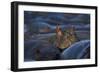 Hippopotamus (Hippopotamus Amphibius), Serengeti National Park, Tanzania, East Africa, Africa-James Hager-Framed Photographic Print