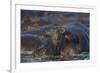 Hippopotamus (Hippopotamus Amphibius), Serengeti National Park, Tanzania, East Africa, Africa-James Hager-Framed Photographic Print