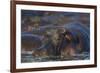 Hippopotamus (Hippopotamus Amphibius), Serengeti National Park, Tanzania, East Africa, Africa-James Hager-Framed Photographic Print