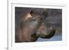 Hippopotamus (Hippopotamus Amphibius), Serengeti National Park, Tanzania-James Hager-Framed Photographic Print