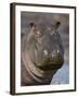 Hippopotamus (Hippopotamus Amphibius), Serengeti National Park, Tanzania-James Hager-Framed Photographic Print