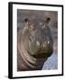 Hippopotamus (Hippopotamus Amphibius), Serengeti National Park, Tanzania-James Hager-Framed Photographic Print