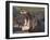 Hippopotamus (Hippopotamus Amphibius) Showing Aggression-James Hager-Framed Photographic Print