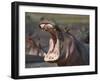 Hippopotamus (Hippopotamus Amphibius) Showing Aggression-James Hager-Framed Photographic Print