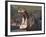 Hippopotamus (Hippopotamus Amphibius) Showing Aggression-James Hager-Framed Photographic Print