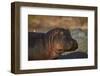 Hippopotamus (Hippopotamus Amphibius) with a Red-Billed Oxpecker (Buphagus Erythrorhynchus)-James Hager-Framed Premium Photographic Print