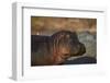 Hippopotamus (Hippopotamus Amphibius) with a Red-Billed Oxpecker (Buphagus Erythrorhynchus)-James Hager-Framed Premium Photographic Print