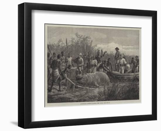 Hippopotamus Hunting in Angola, West Africa-null-Framed Premium Giclee Print