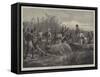 Hippopotamus Hunting in Angola, West Africa-null-Framed Stretched Canvas