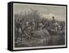 Hippopotamus Hunting in Angola, West Africa-null-Framed Stretched Canvas