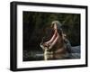 Hippopotamus in pool, Mana Pools NP, Zimbabwe-Nick Garbutt-Framed Photographic Print