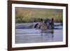 Hippopotamus in River-null-Framed Photographic Print
