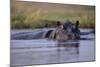 Hippopotamus in River-null-Mounted Photographic Print
