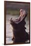 Hippopotamus in River-Paul Souders-Framed Photographic Print