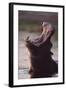 Hippopotamus in River-Paul Souders-Framed Photographic Print