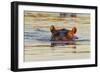 Hippopotamus in Water-Michele Westmorland-Framed Photographic Print