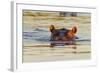 Hippopotamus in Water-Michele Westmorland-Framed Photographic Print