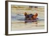 Hippopotamus in Water-Michele Westmorland-Framed Photographic Print