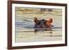 Hippopotamus in Water-Michele Westmorland-Framed Photographic Print