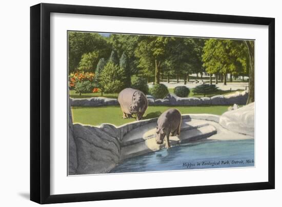 Hippopotamus in Zoo, Detroit, Michigan-null-Framed Art Print