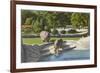 Hippopotamus in Zoo, Detroit, Michigan-null-Framed Premium Giclee Print