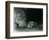 Hippopotamus Joan with Her Male Calf Jimmy at London Zoo in March 1927 (B/W Photo)-Frederick William Bond-Framed Giclee Print