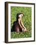 Hippopotamus making a threat display, Masai Mara Game Reserve, Kenya-Adam Jones-Framed Photographic Print