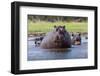 Hippopotamus, Okavango Delta, Botswana, Africa-Angelo Cavalli-Framed Photographic Print