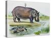 Hippopotamus or Hippo (Hippopotamus Amphibius), Hippopotamidae-null-Stretched Canvas