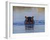 Hippopotamus Submerged in Water, Moremi Wildlife Reserve Bostwana Africa-Tony Heald-Framed Photographic Print