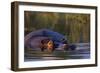 Hippopotamus Swimming in the Khwai River-Paul Souders-Framed Photographic Print