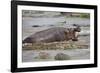 Hippopotamus Threatening Nile Crocodiles in River-Paul Souders-Framed Photographic Print