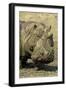 Hippopotamus When the Waterholes Dry Up During-null-Framed Premium Photographic Print